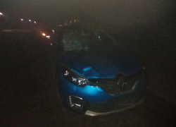 В Тамбовском районе насмерть сбили пешехода