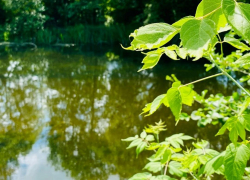 Погода на выходных: дожди и солнце