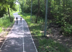 На лыжном стадионе парка «Дружба» в Тамбове заасфальтируют пятикилометровую трассу