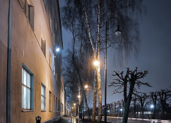 В Тамбове на выходных ожидается аномально тёплая погода