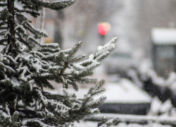 Морозная и снежная погода задержится в Тамбове на выходные