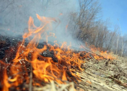 С завтрашнего дня в регионе начнёт действовать особый противопожарный режим
