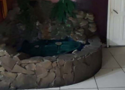 Владелица кафе «Атлант», в котором погибла посетительница, решила обанкротиться