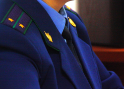 В Инжавинском районе возбуждено уголовное дело по фактам нарушения прав многодетных семей