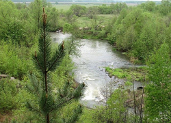 В реке под Моршанском рыбак обнаружил тело мужчины