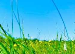 Выходные «порадуют» грозами и жарой