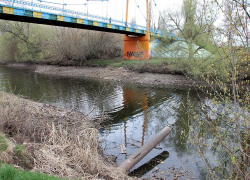 Региональные власти обещают решить проблему с Цной в черте Тамбова