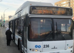 В Тамбове дачный автобус в Чистые пруды будет ходить чаще