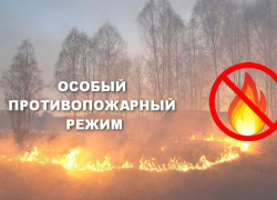 На ближайшие дни в Тамбовской области установлен особый противопожарный режим