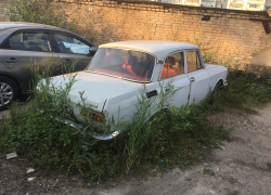 В Тамбове брошенные автомобили будут убирать с помощью эвакуаторов