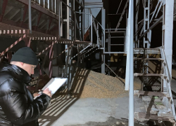 По факту гибели мужчин в кукурузе возбуждено уголовное дело