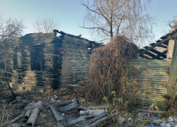 В Котовске двое приятелей подожгли чужую дачу