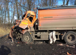 В Ржаксинском районе в поле столкнулись два «КамАЗа»