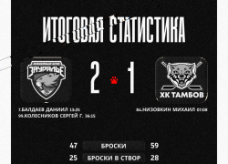 ХК «Тамбов» уступил «Зауралью» с минимальным счётом