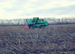 В деревне Орловка Тамбовского района погиб комбайнёр