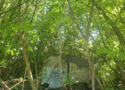 Стена-убийца из Мичуринска: подробности дела об обрушении постройки на мальчика