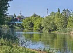 Власти обещают полностью оздоровить Цну к 2028 году