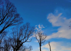 В Тамбове ожидается морозная неделя