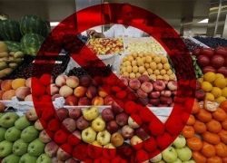 Санкционными продуктами торговали магазины по всей Тамбовской области 