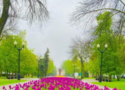 Погода в регионе на выходные: облачно, дождливо, ветрено