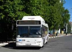 В Тамбове общественный транспорт переходит на новое расписание