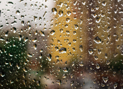 Пассажиры тамбовского автобуса №60 жалуются на дожди в салоне