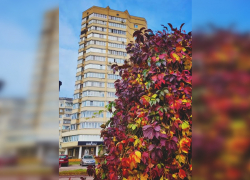 Начало рабочей недели в Тамбове будет тёплым и дождливым