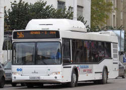 В Тамбове временно изменят маршруты автобусов №31Р, №56 и №57