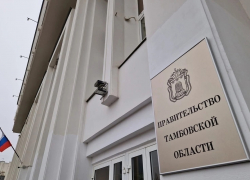 Проблему приватизации имущества в Тамбовской области решат уже этим летом