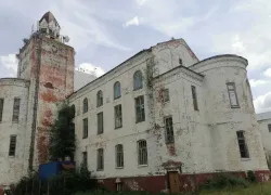 «Тамбовский Хогвартс» в Чакино опять пытаются продать 