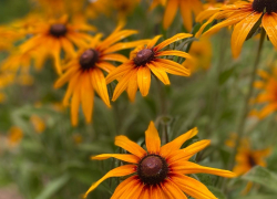 Погода на выходных: ясно, аномально жарко, практически безветренно