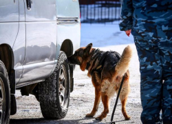 Автомобиль со спайсом и солью задержан в Тамбове