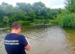 Школьница из Моршанска утонула в Мучкапском районе