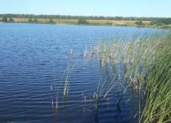 В Мичуринском районе в частном пруду утонул мужчина