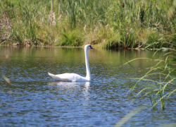 Тамбовская область по-прежнему возглавляет национальный экологический рейтинг 