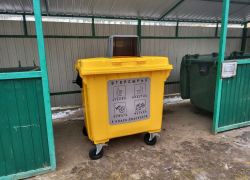 Власти Тамбова рассказали о культуре раздельного сбора мусора