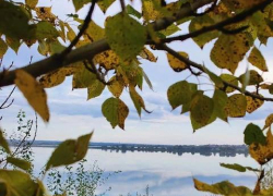 Погода в Тамбовской области: тепло и облачно