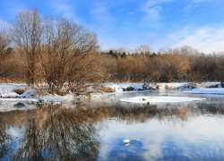 Вторая рабочая неделя февраля в Тамбове будет «мартовской»