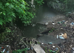 На очистку Студенца не хватает финансирования