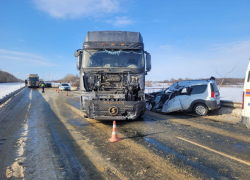 Под Тамбовом в столкновении «Лады» с грузовиком погибли два человека