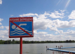 В Тамбове запретили купаться у кафе «Парус», там нашли паразитов