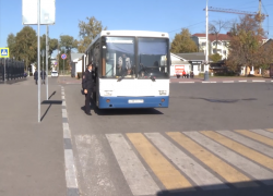В Тамбовской области в ходе рейда «Автобус» оштрафовали более 500 водителей 