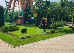 Тамбовский парк культуры и отдыха обработали от клещей