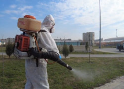 В Тамбове приступили к акарицидной обработке скверов и парков