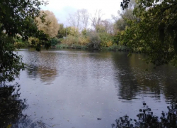 В Тамбове на улице Монтажников найдено тело утопленника