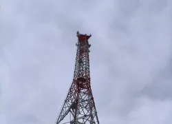 В Тамбовской области расширили LTE-сеть на отечественном оборудовании