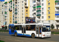Автобусы до Хладокомбината и Чистых прудов будут ездить по-новому 