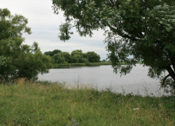 Причиной массовой гибели рыбы в Никифоровском районе стал недостаток кислорода