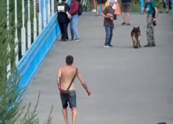 В Тамбове на задержанного пьяного с ножом неадеквата завели дело