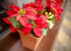 Весна на пороге: тёплая погода порадует тамбовчан на этой неделе